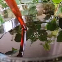 شیره انگور کشمشی (محصول دست ساز امسال) یک کیلو گرمی کاملا خالص و غلیظ هیدج مارکت، بسته بندی کامل در بطری