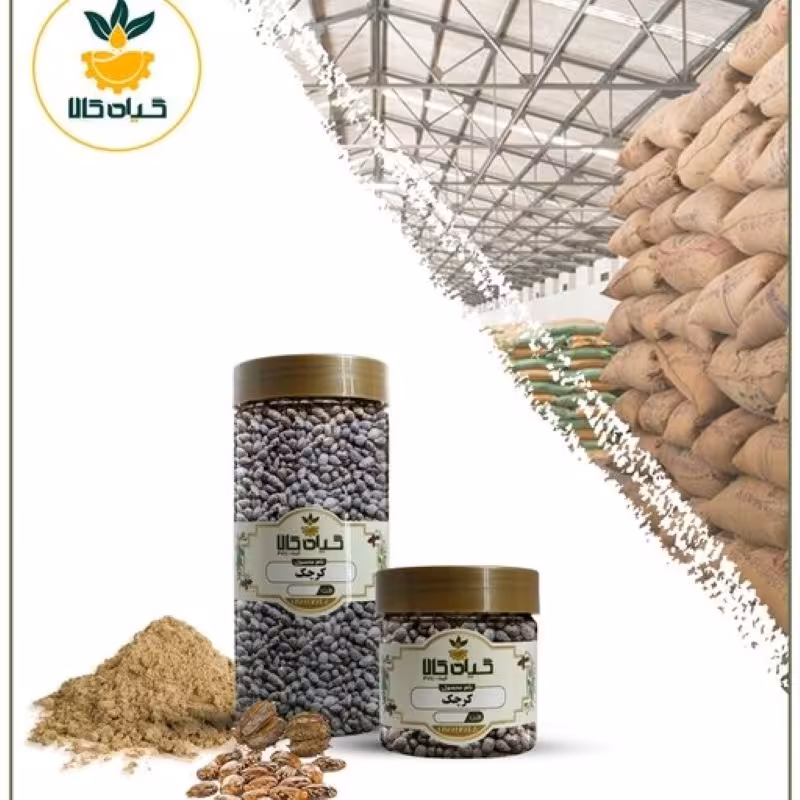 دانه کرچک با کیفیت عالی، بار امسالی و تازه(150گرمی )      