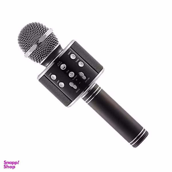 میکروفون مدل WS-858