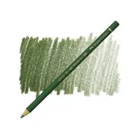 مدادرنگی پلی کروم کد 167