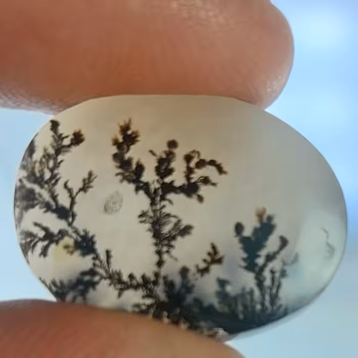 عقیق شجر درختی قاین زیبا و کلکسیونی