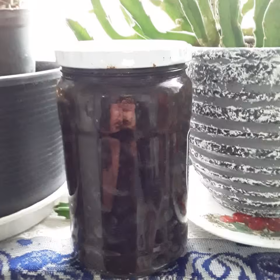 رب انار  امساله