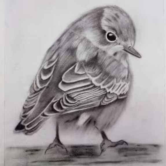 تابلونقاشی سیاه قلم