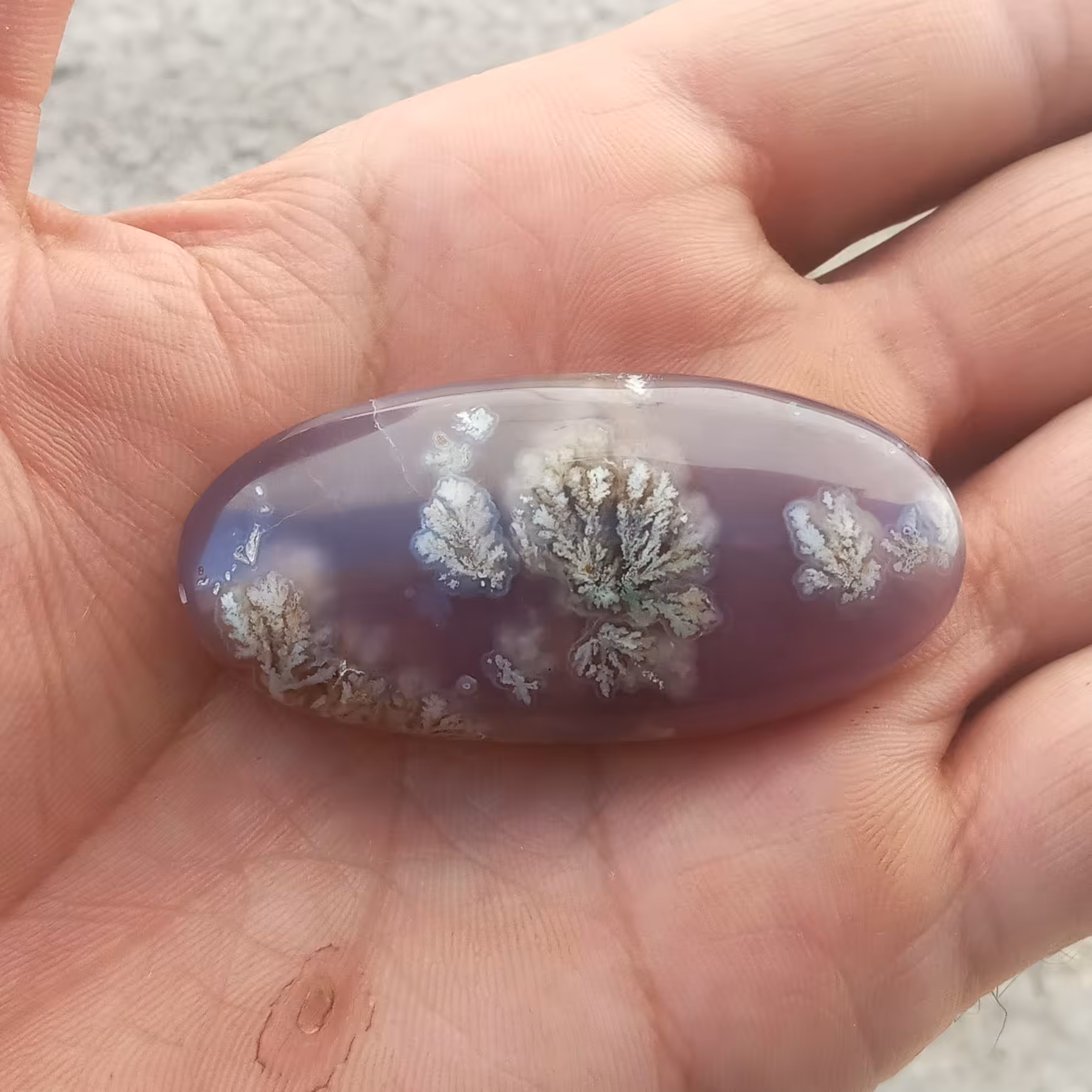 عقیق سوسنی کلکسیونی شجر دار که شجر بهاری سفید رو در قسمت روی سنگ  دیواره و پشت سنگ به وضوح مشاهده می کنید