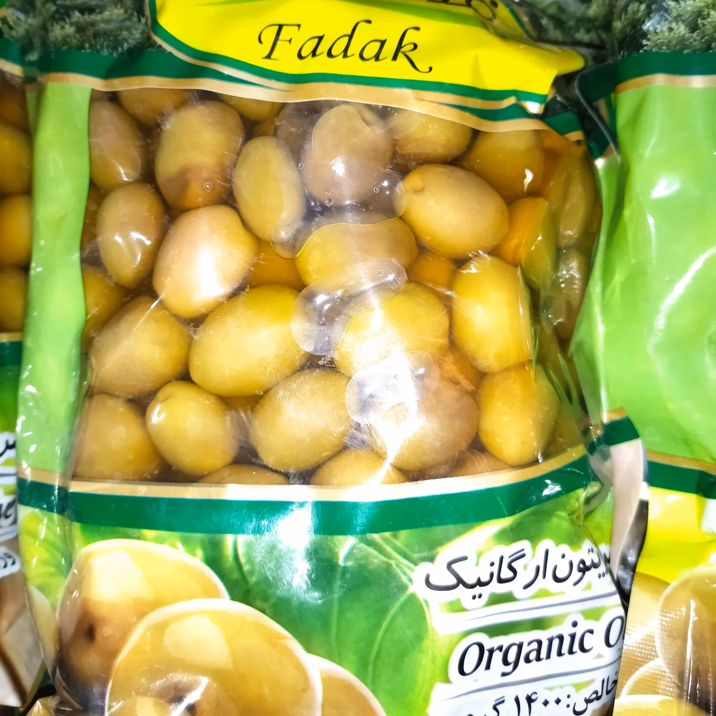 زیتون فدک. خوشمزه و خوش طعم