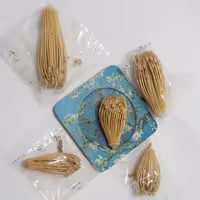 گیاه خلال دندان بسته 5 عددی