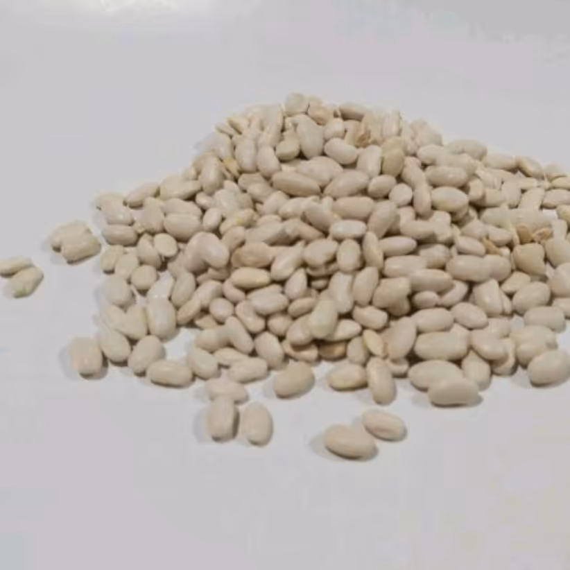 لوبیا سفید 750گرم فروش گروهی