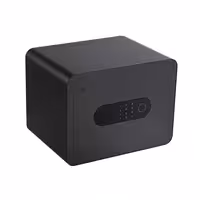 گاوصندوق هوشمند شیائومی BGX-5/X1-3001