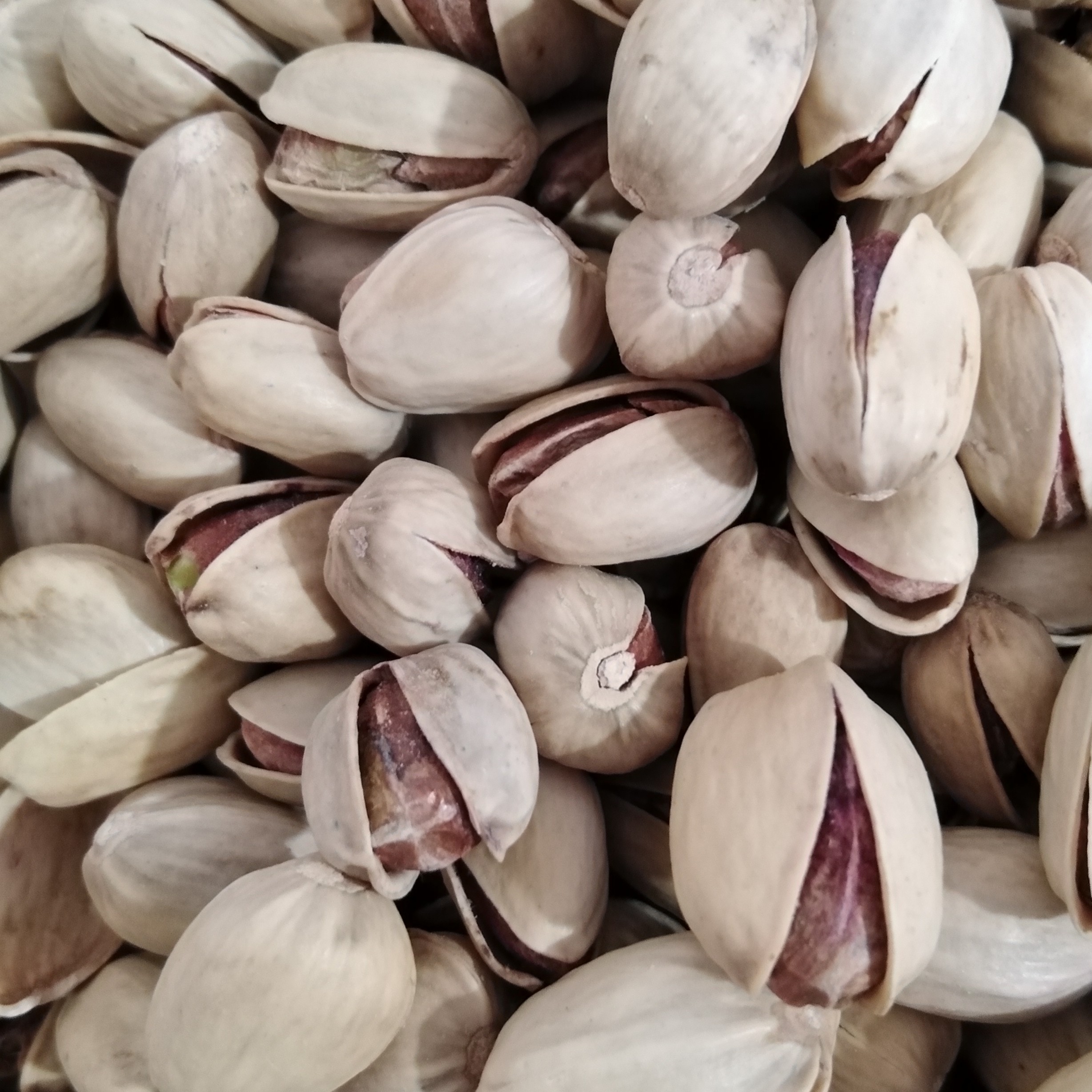 پسته کله قوچی مزه داره شده، تازه و بدون کرم خوردگی