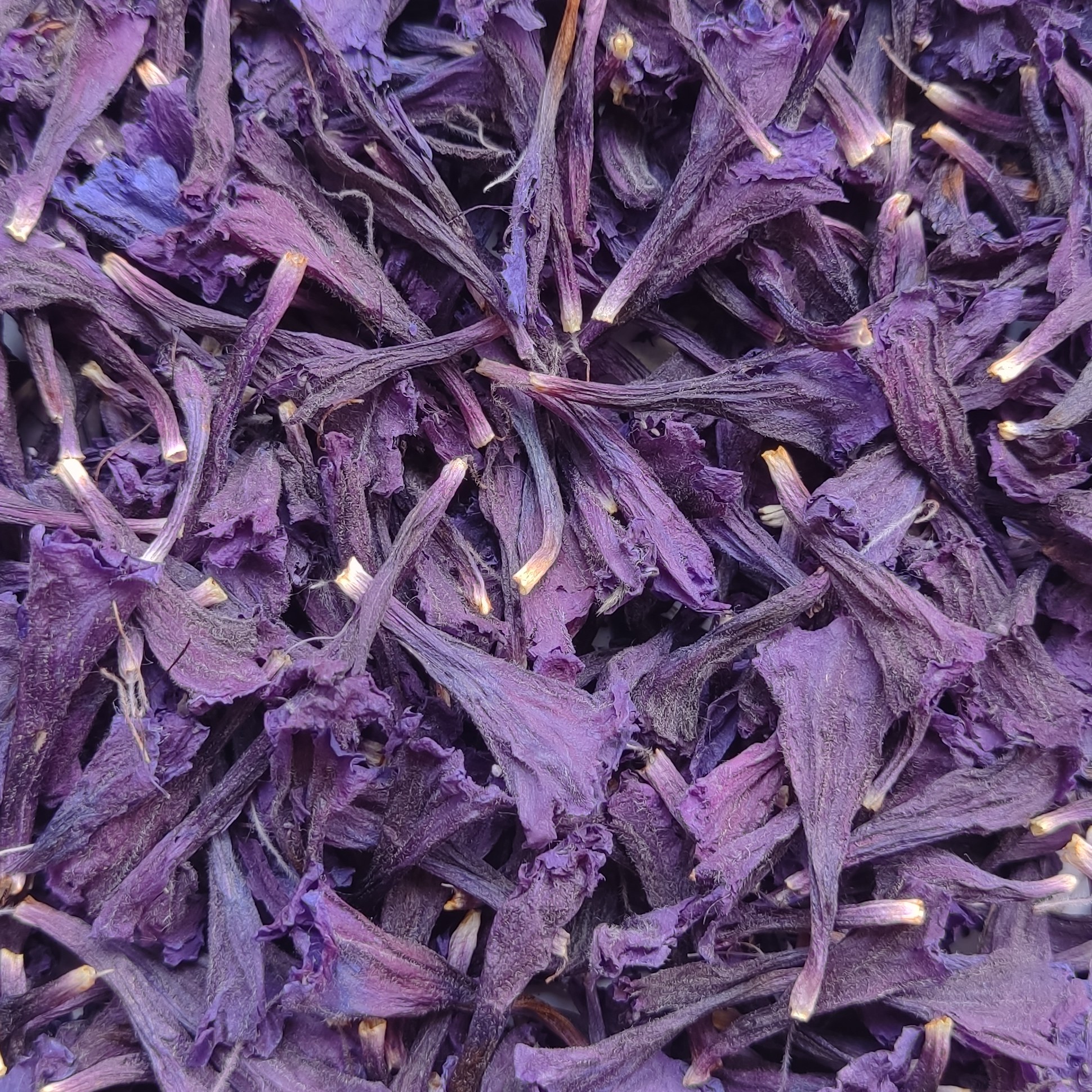 گل گاوزبان اشکور (50 گرم) خشک شده 1401