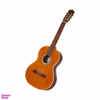 گیتار طرح پارسی مدل M5