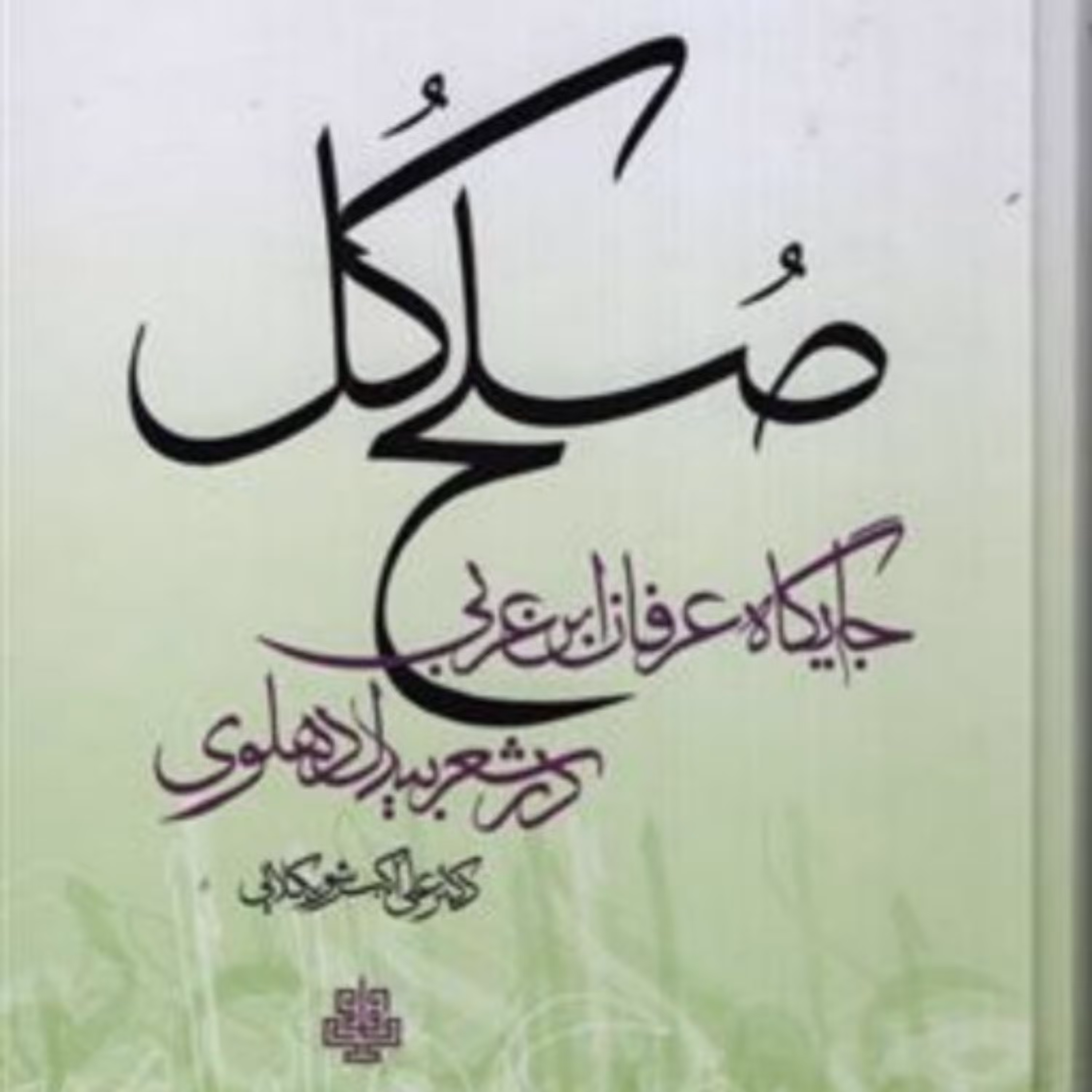 کتاب صلح کل جایگاه عرفان ابن عربی در شعر بیدل دهلوی نشر مولی