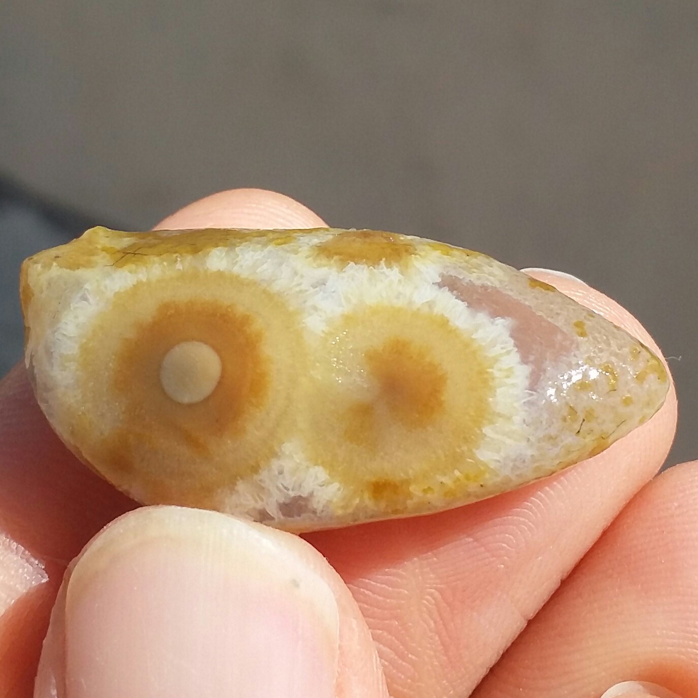 سنگ راف خام عقیق باباقوری دو چشم مژه ای موکول دار رحمانی بسیار قوی برش نخورده 100 در 100 طبیعی شاهکار خلقت کد 10923