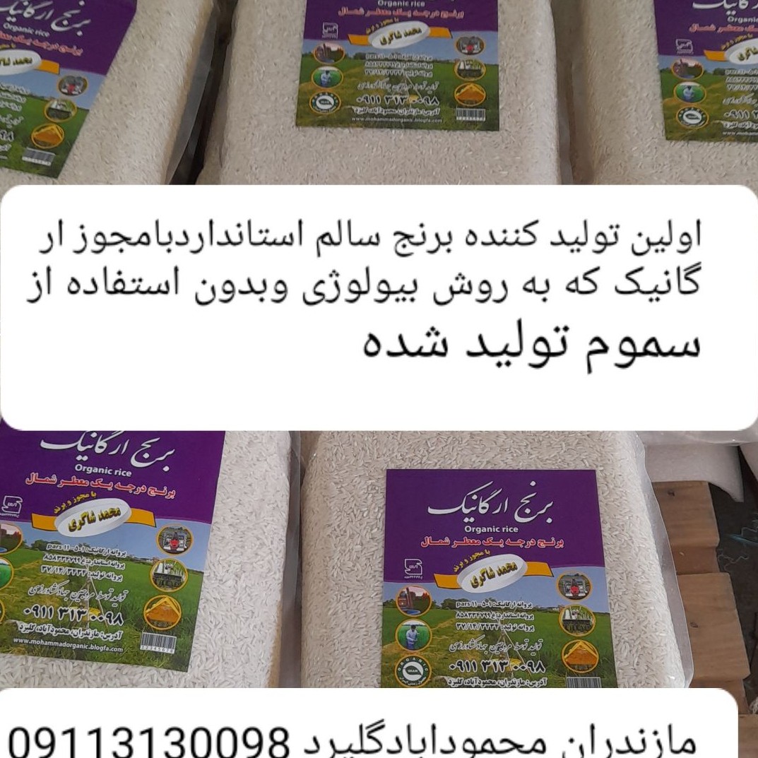 ارسال رایگان برنج هاشمی با تخفیف ویژه 30درصدی 4بسته چهاونیم کیلو برنج بدون استفاده از سموم تولید شد