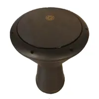 تمپو مشکی پژواک