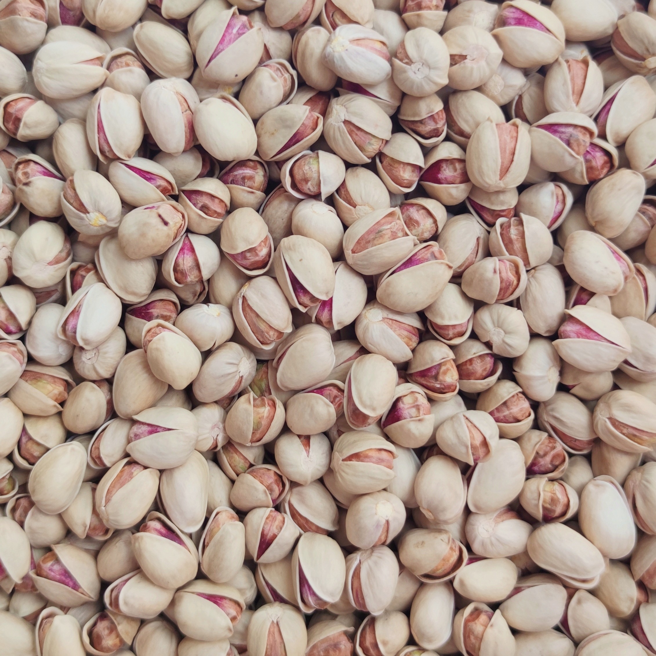 پسته فندقی خام 1 کیلوگرمی