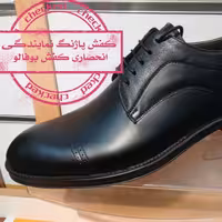 مدل:برت بوفالو