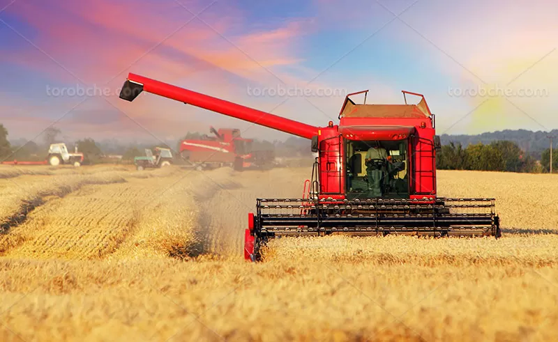 عکس کشاورزی و تراکتور | گرافیک با طعم تربچه
