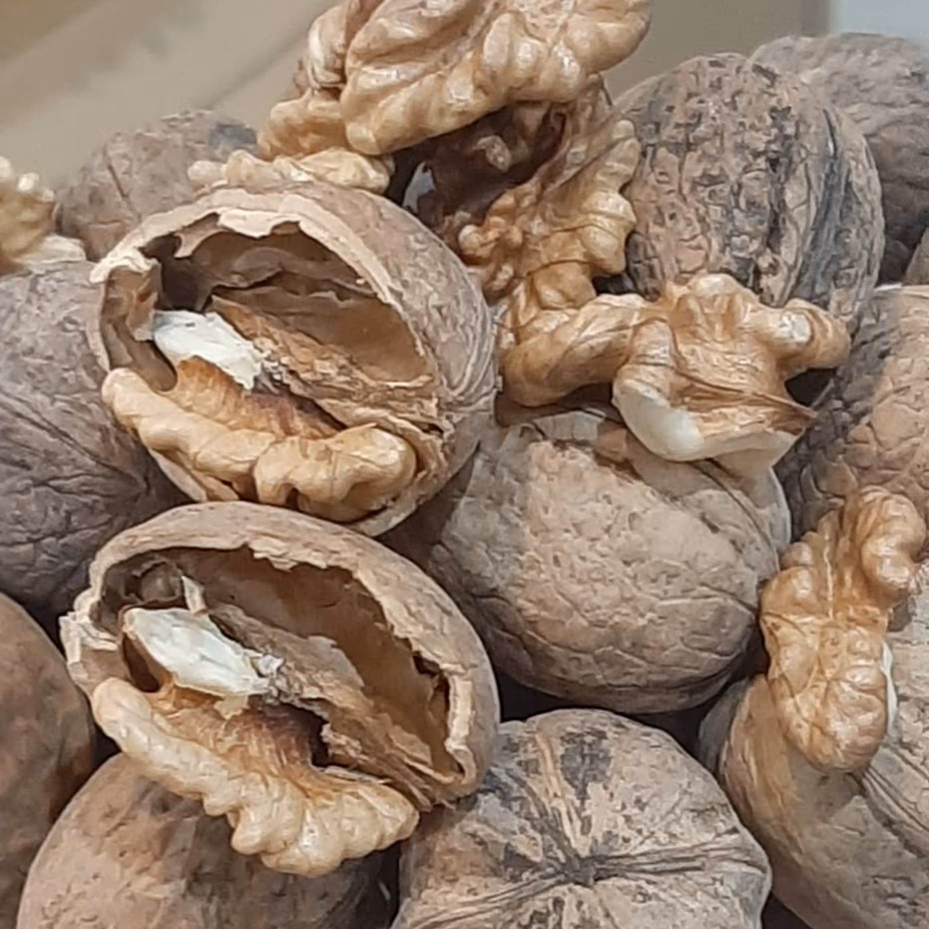 گردو پوست کاغذی 95٪مغز سفید تویسرکان 900گرمی سایز مخلوط چرب و خوش طعم،با ضمانت مرجوعی