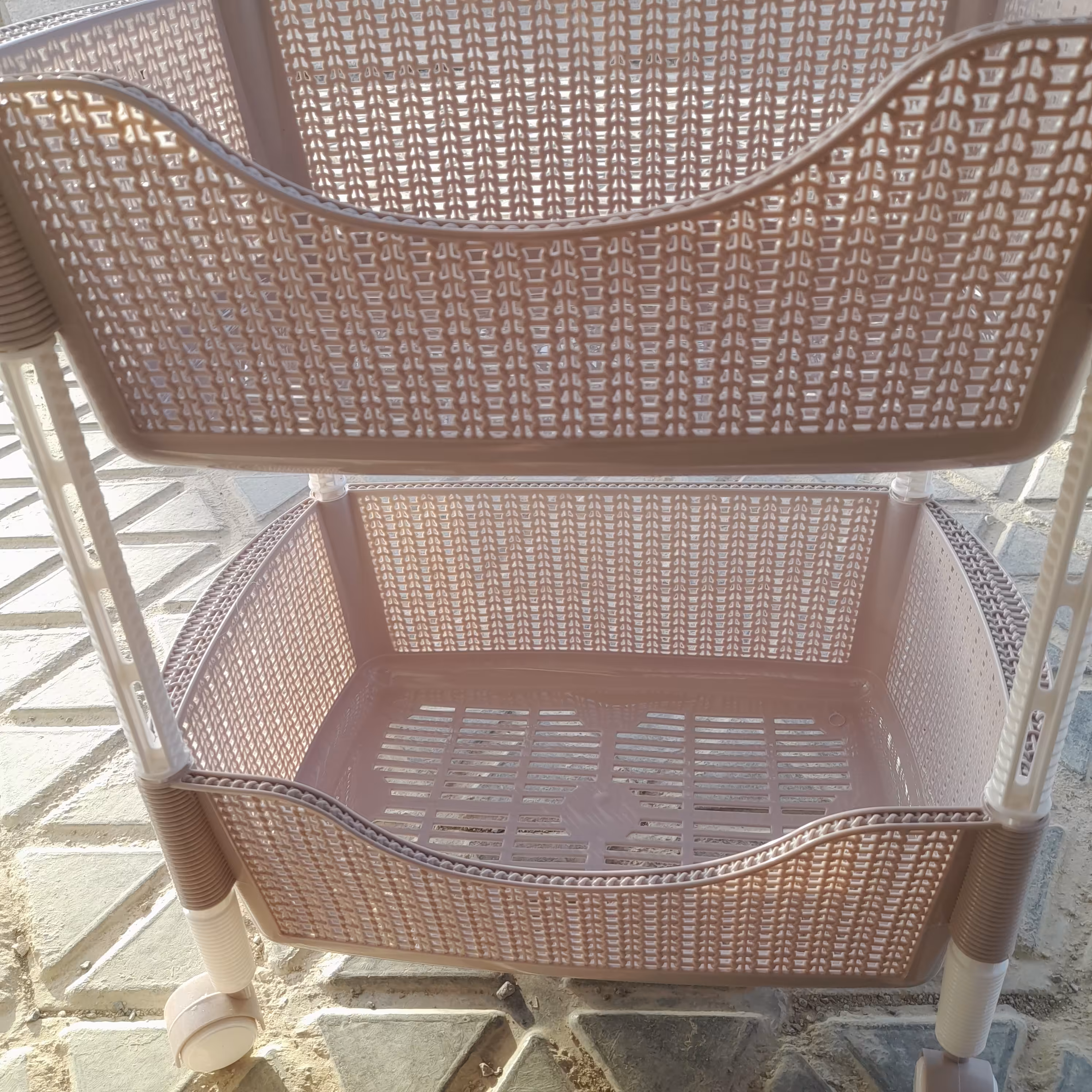 جاسیب زمینی،پیاز دوطبقه 