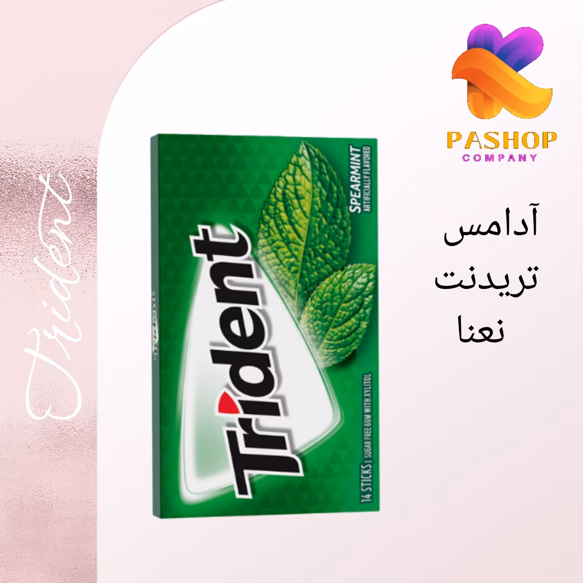 آدامس تریدنت نعنایی