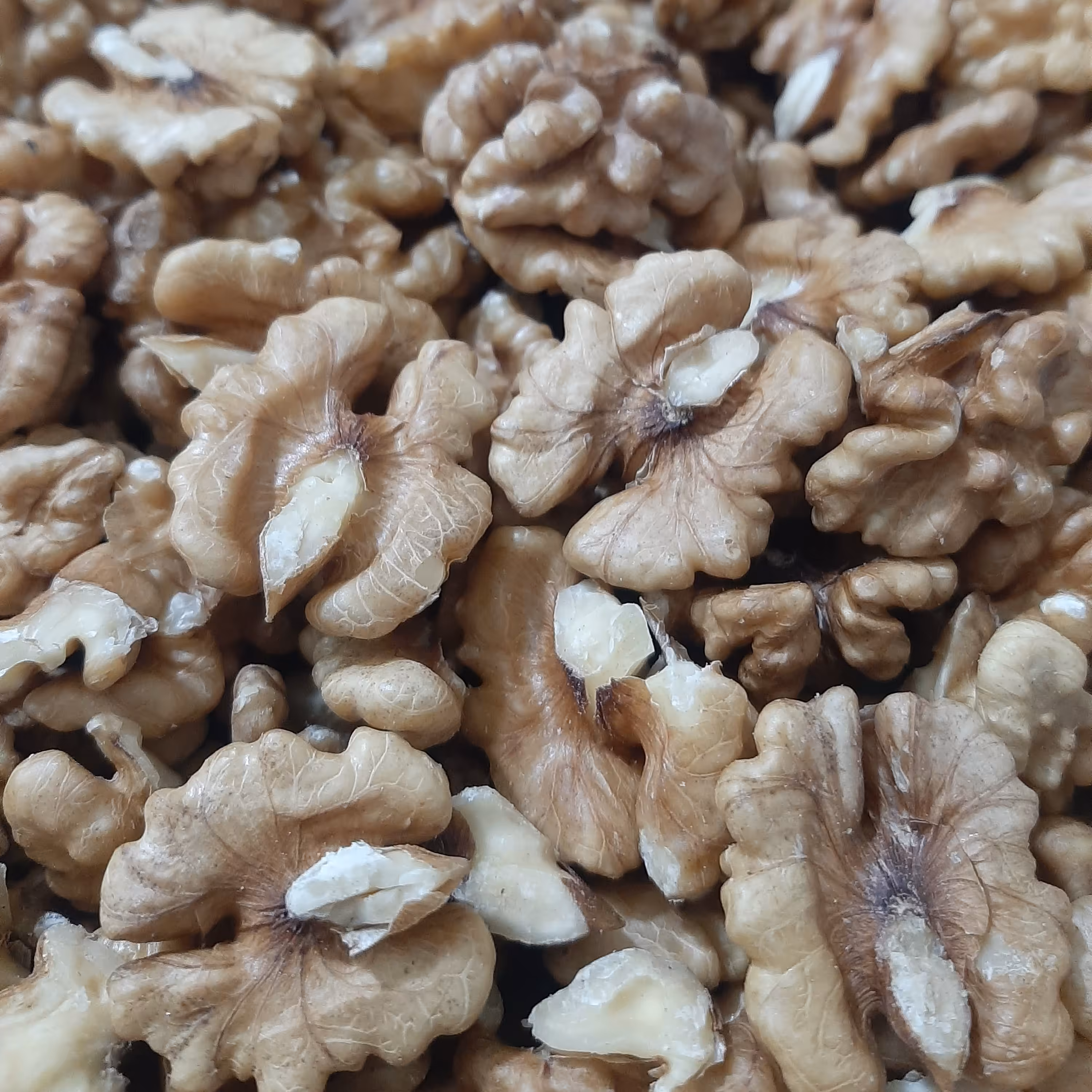 مغز گردو سفید 500 گرمی درجه 1(تضمین کیفیت)