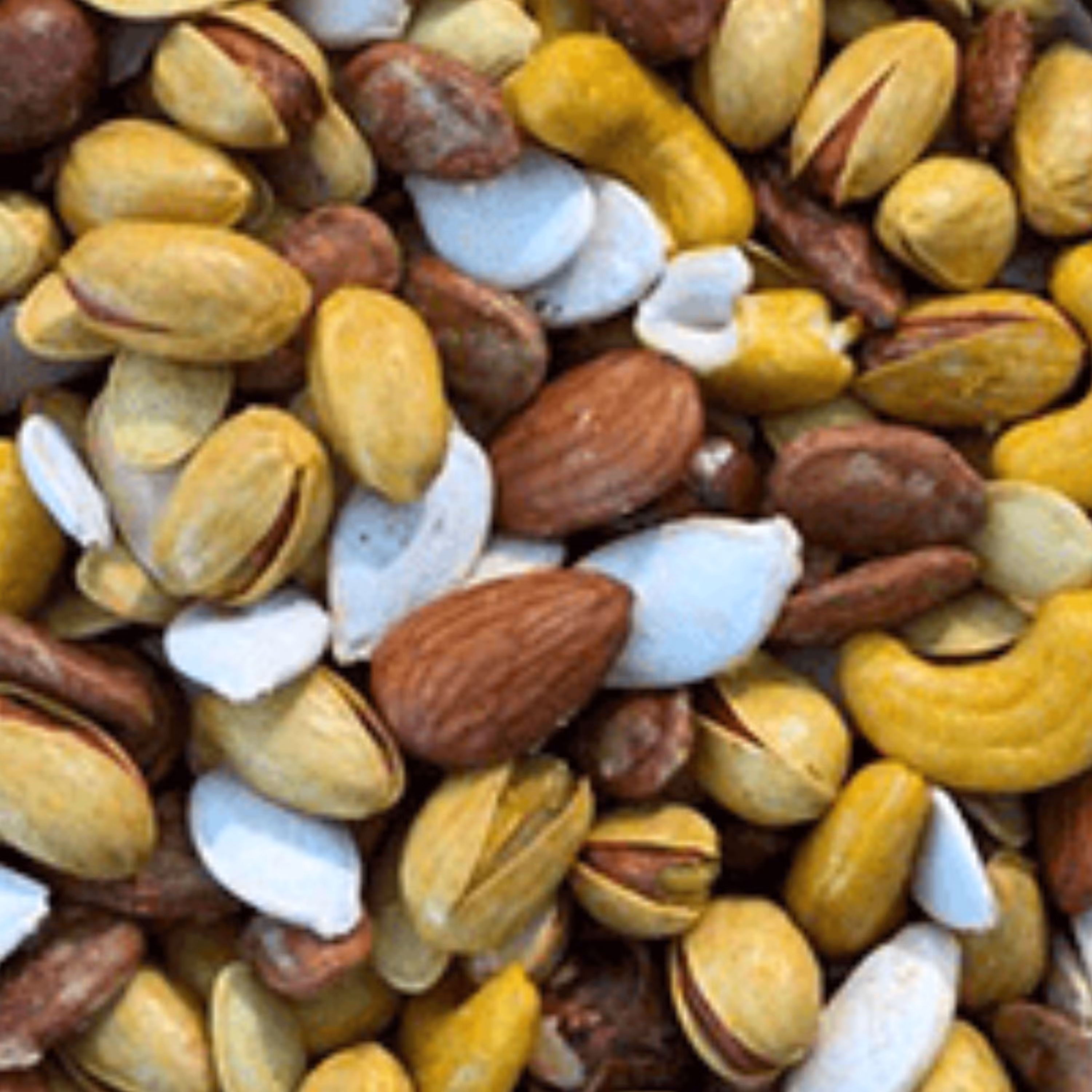 آجیل ویژه مغز