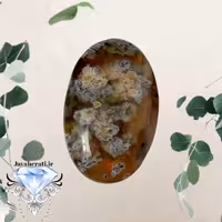 نگین شجر بهاری زیبا و بینظیر