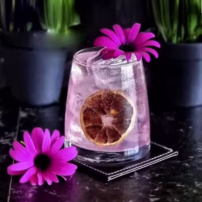 نیم لیوان پینوت پاشاباغچه ترکیه 4 تایی Pinot-420742