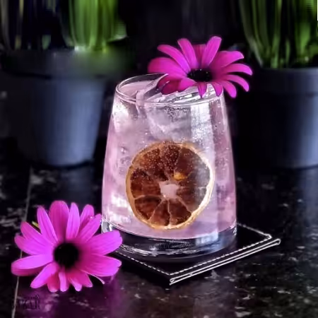 نیم لیوان پینوت پاشاباغچه ترکیه 4 تایی Pinot-420742