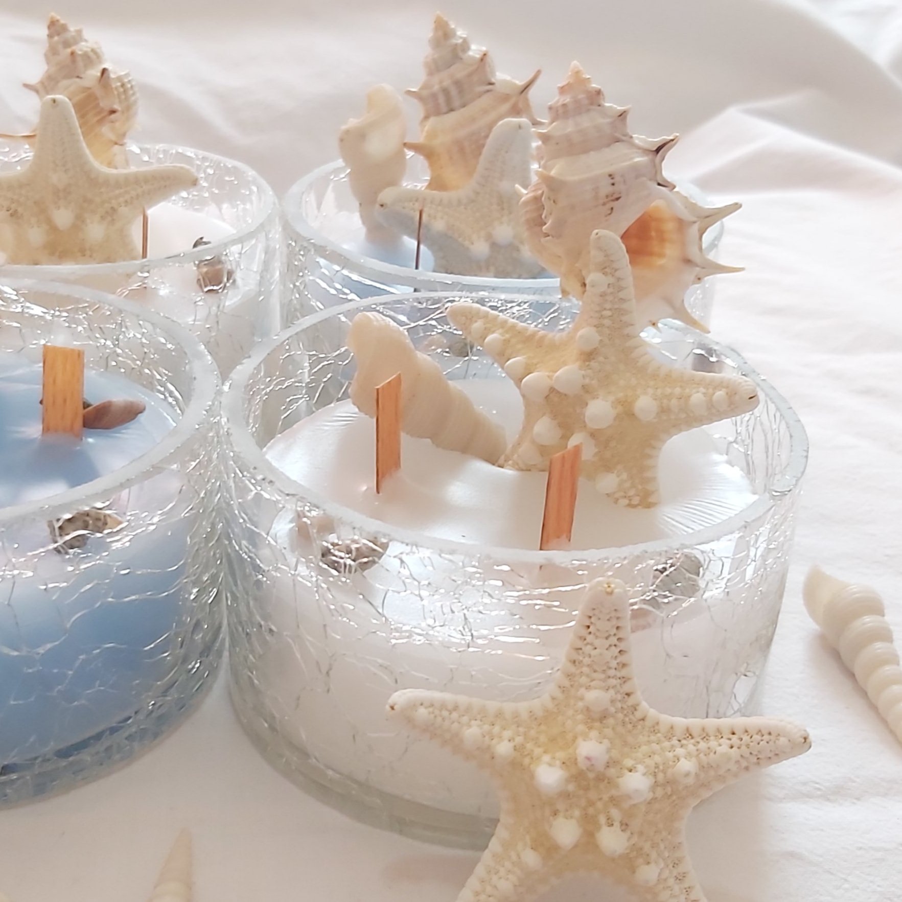 شمع دریایی(پس کرایه)