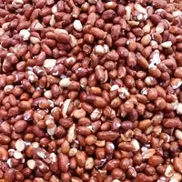 بادام زمینی شور(250گرمی)