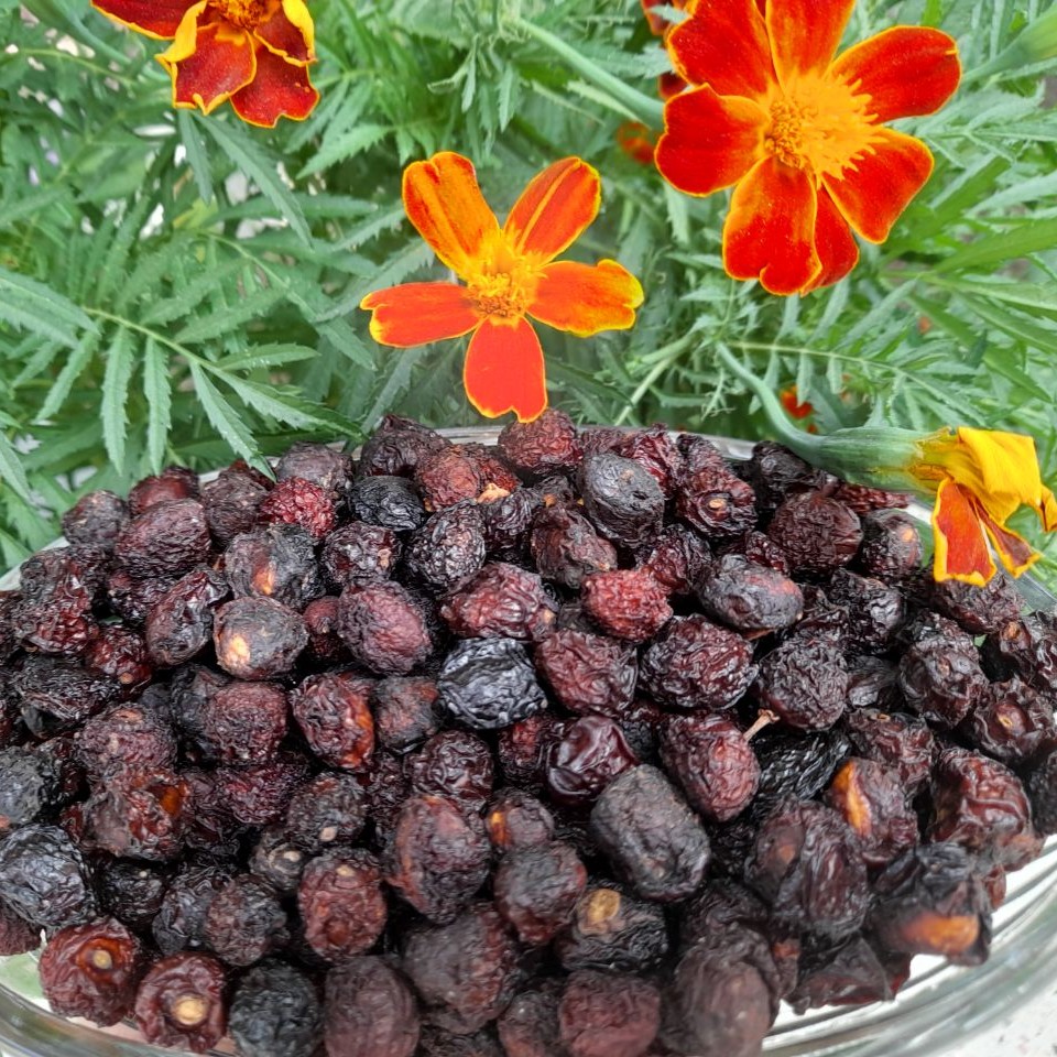 گیلاس خشک امسالی درجه 3 (کم گوشت)