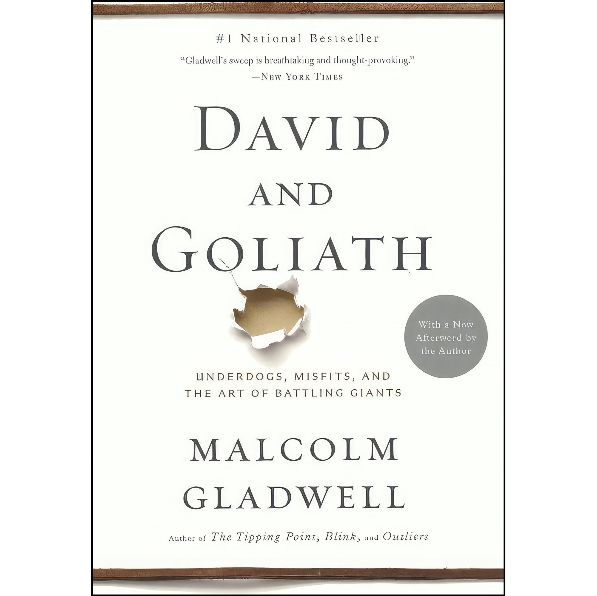 کتاب زبان اصلی David And Goliath اثر Malcolm Gladwell انتشارات Turtleback Books