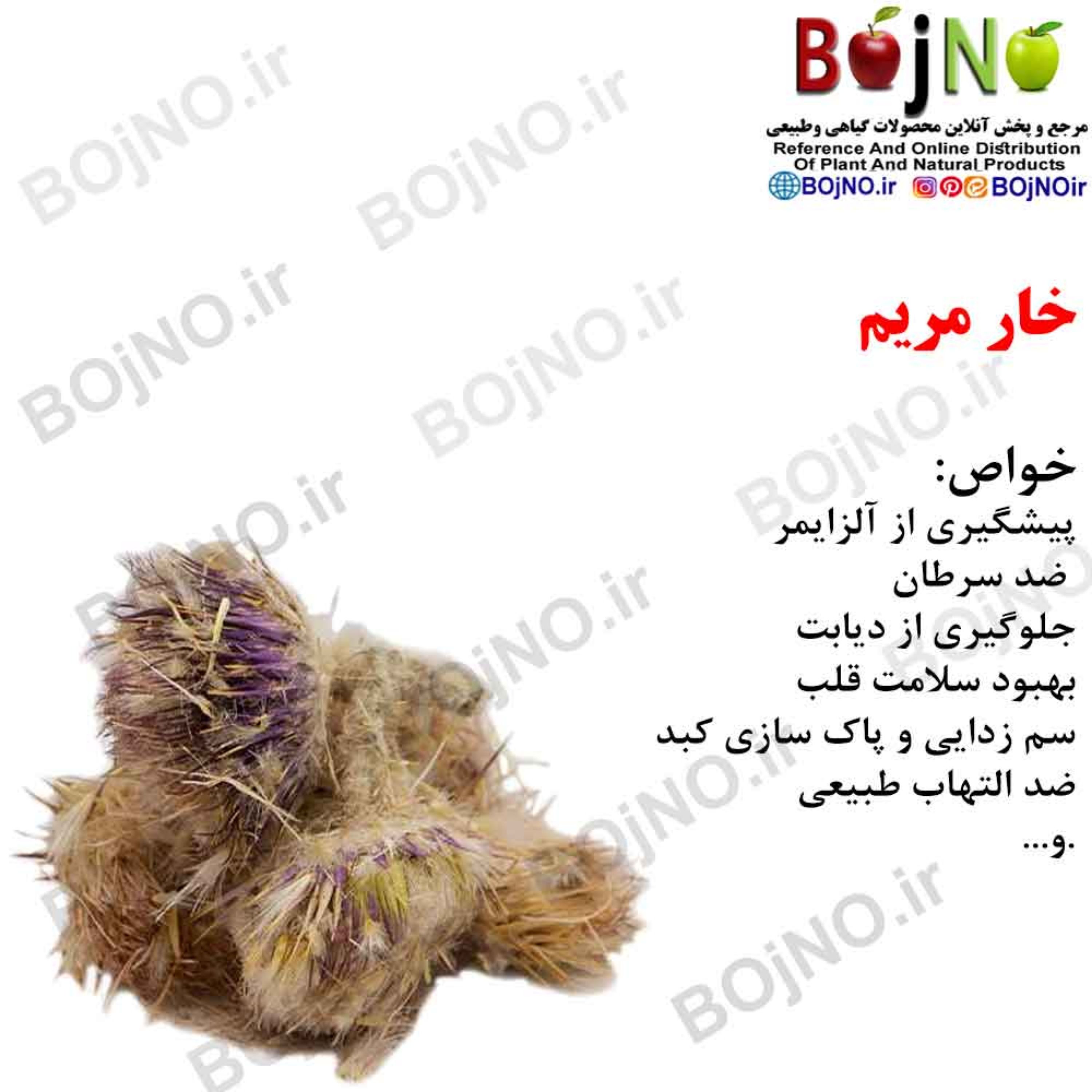 خار مریم(بسته 50گرمی)