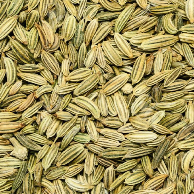 رازیانه تازه درجه یک بسته 100 گرمی