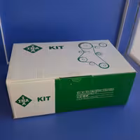 کیت تسمه تایم 206 تیپ 5و6 برند ina  ساخت اروپا 