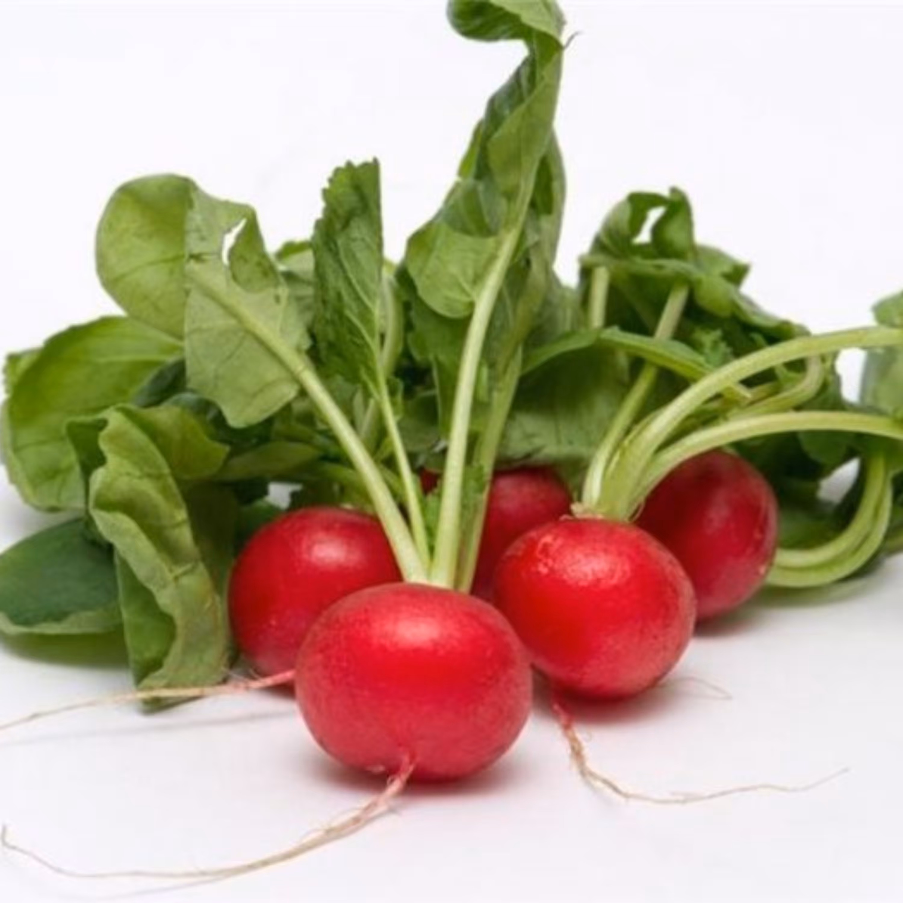 بذر تربچه چری بل بسته 100 عددی