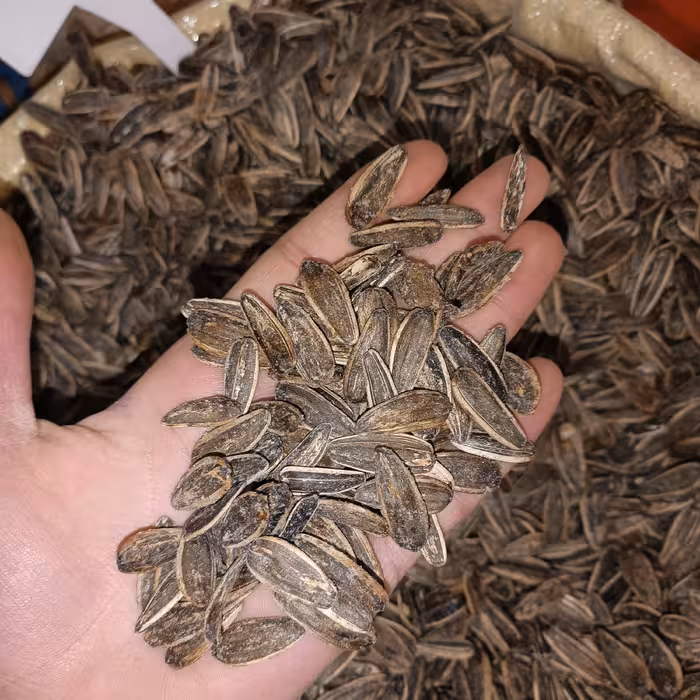 تخمه آفتاب گردان خارجی  یک کیلویی با طعم لیمو