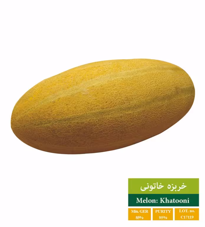 بذر خربزه خاتونی - بذر طلایی رویان