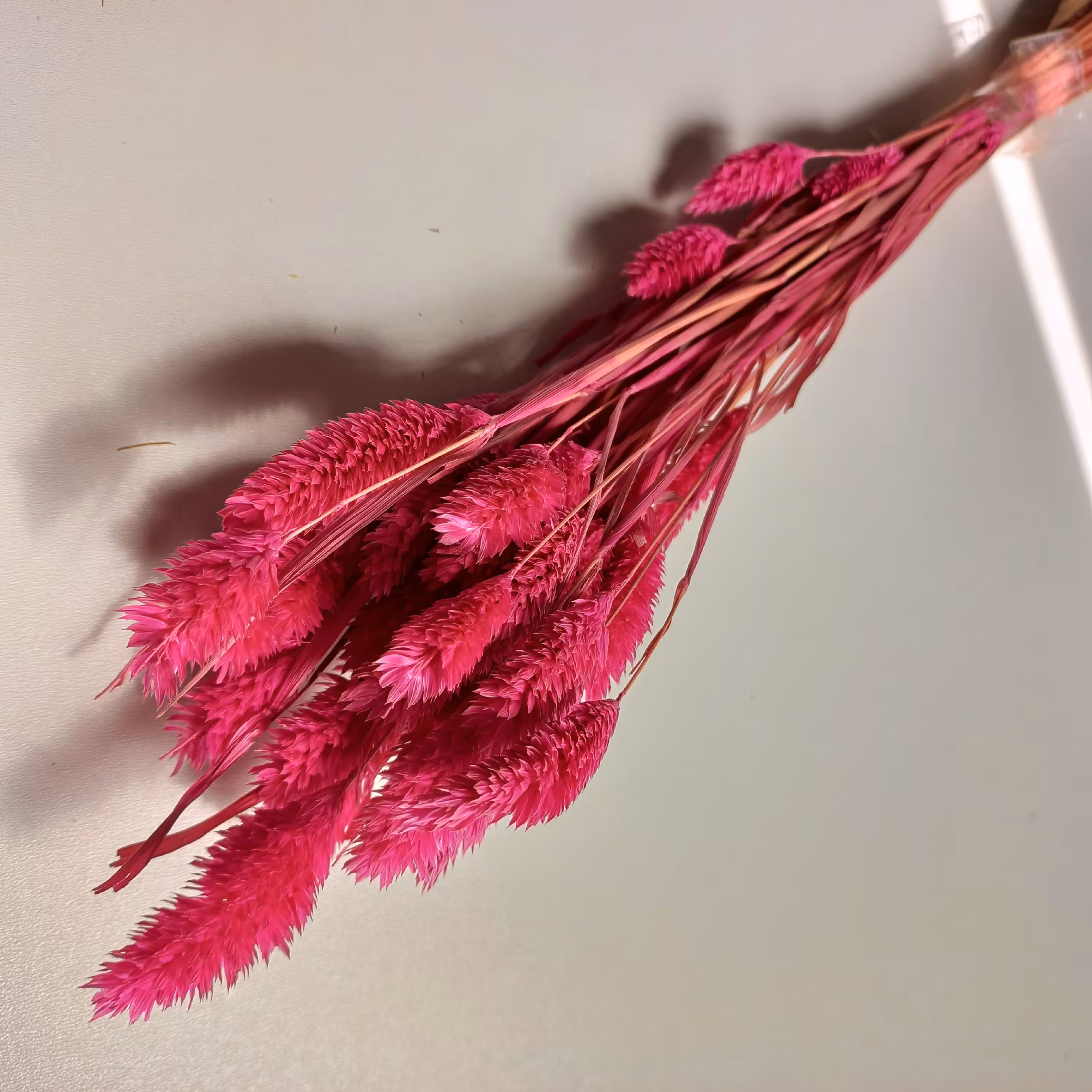 گل خشک مصنوعی صورتی