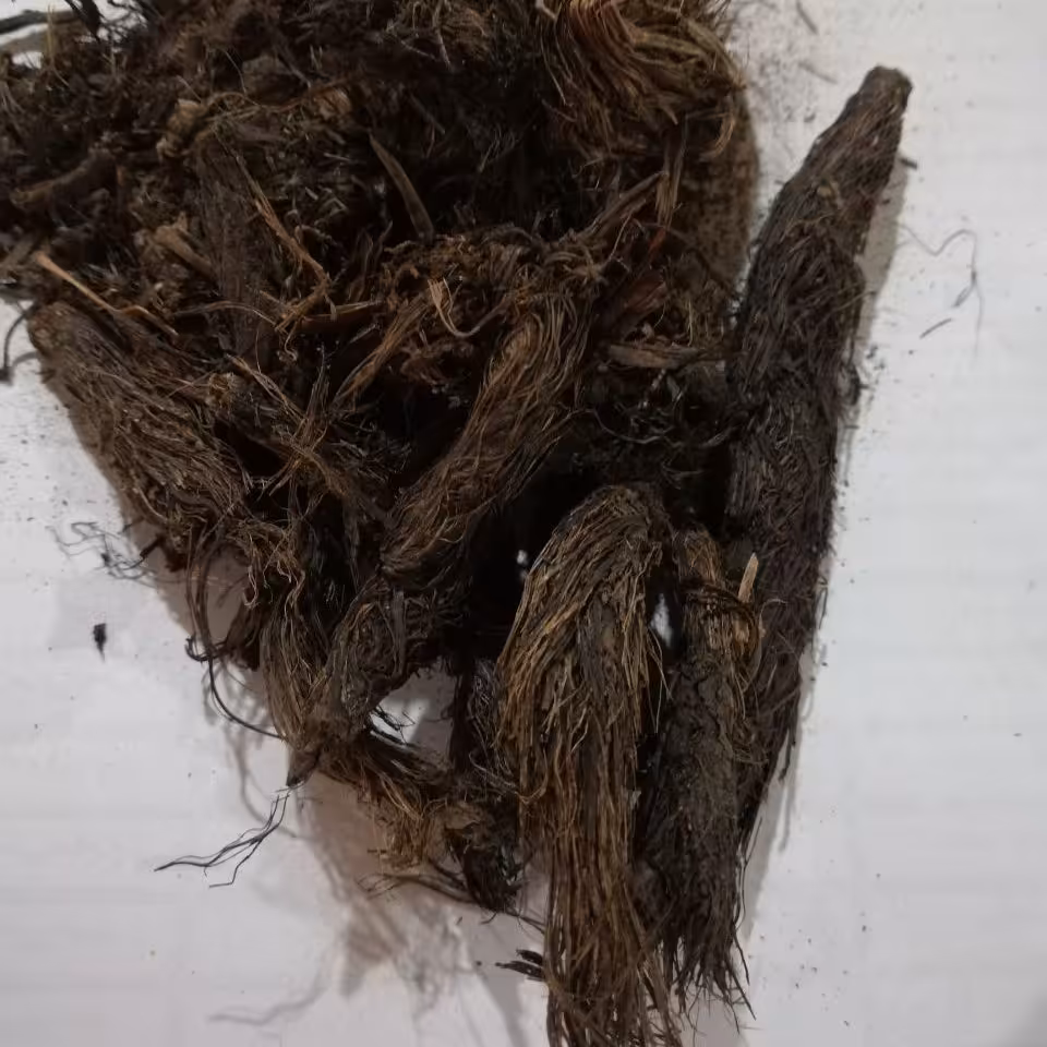 سنبل الطیب 50گرم چاشنی خاتون