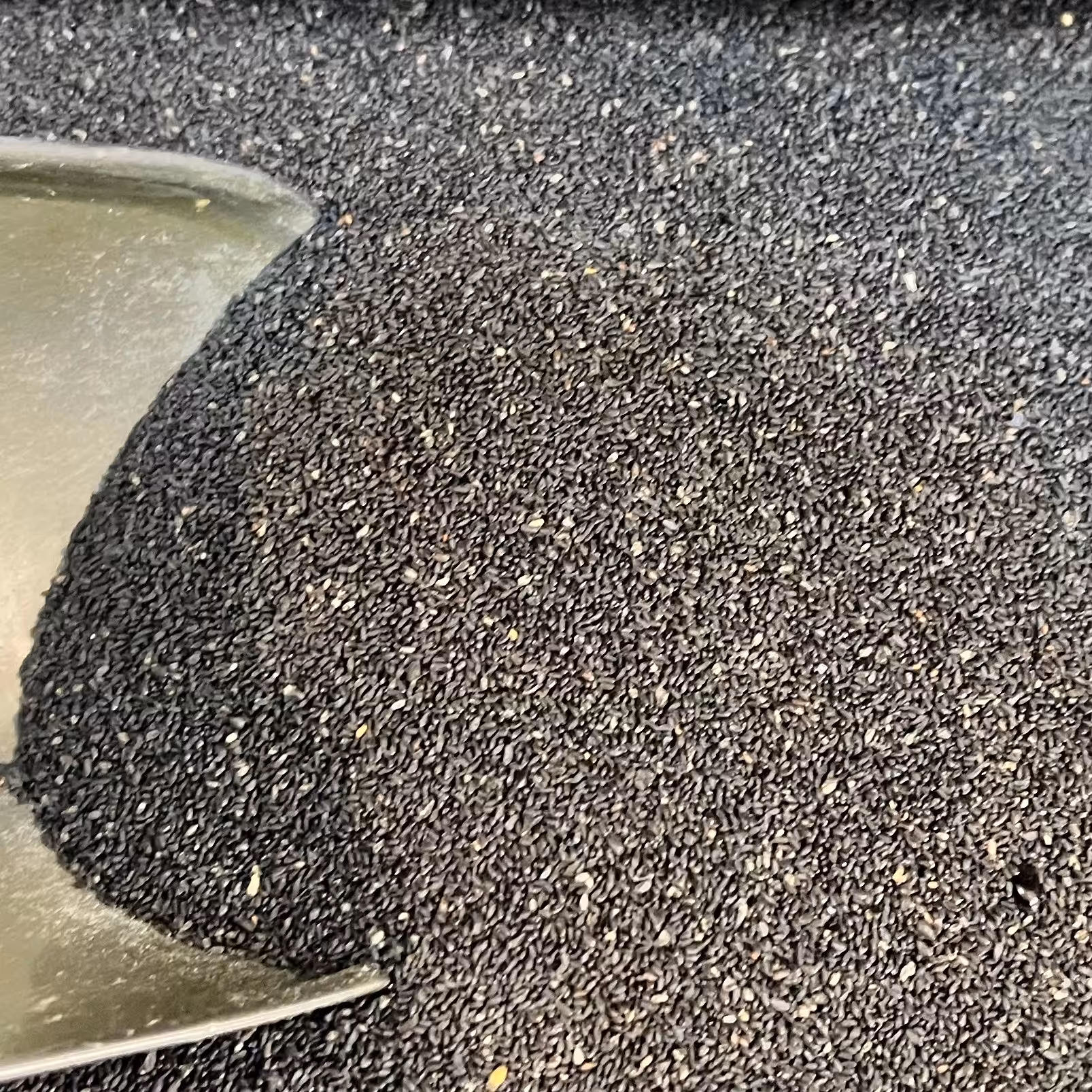 تخم شربتی ریز اعلا تمیز (نیم کیلویی)از عمده فروشی ادویه کیامد