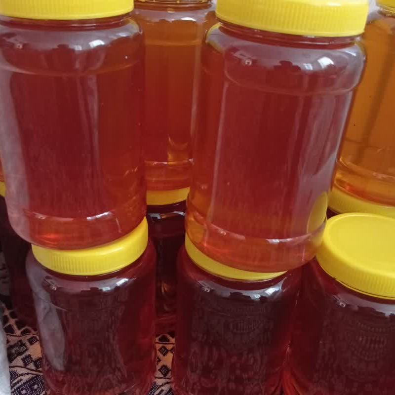 عسل بهاره مرغوب با کیفیت و خوش طعم یک کیلویی