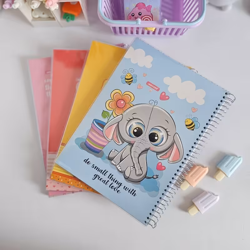 دفتر 100 برگ در طرح های فانتزی