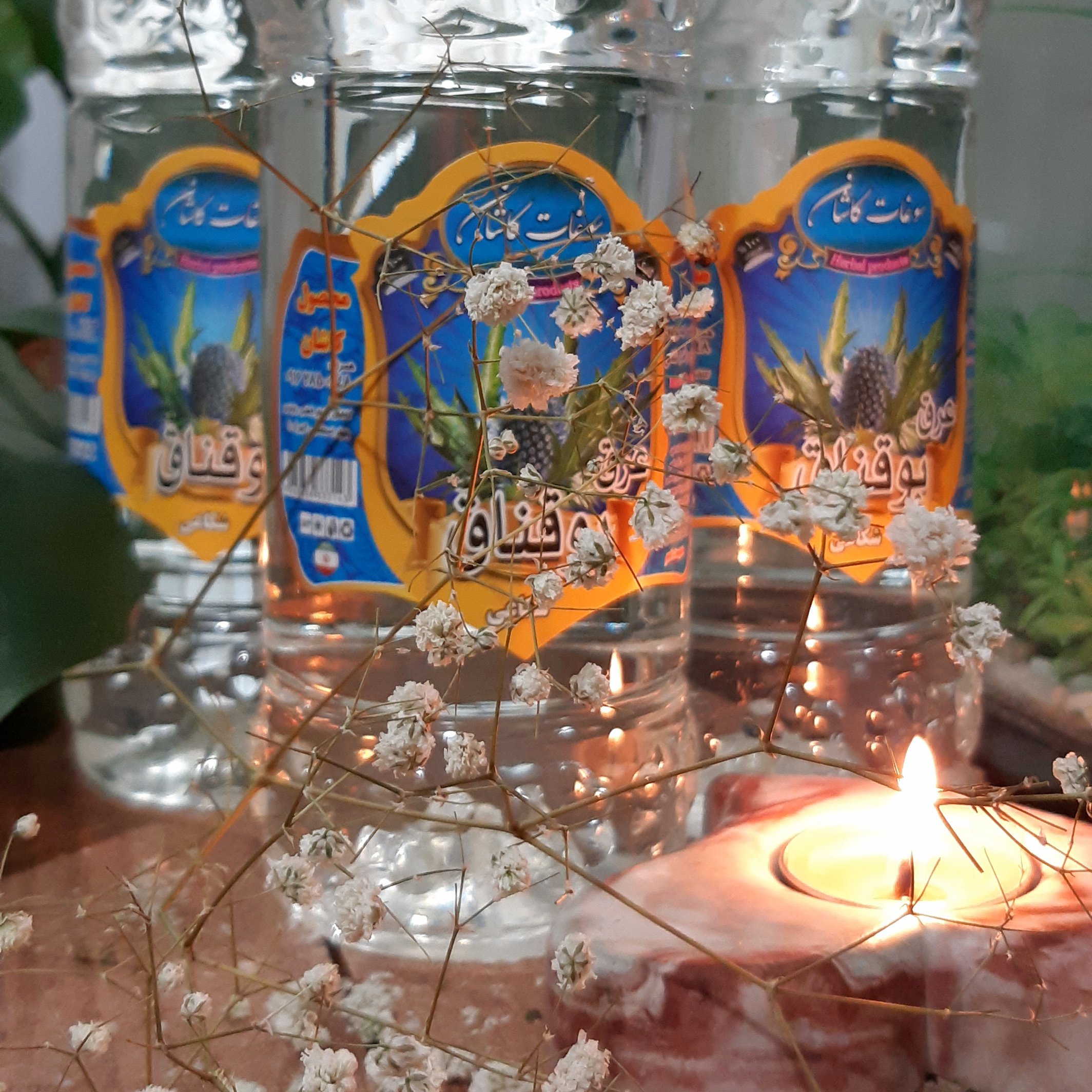 عرق بوقناق.عصاره مرغوبترین گیاه بوقناق.محصول کاشان.