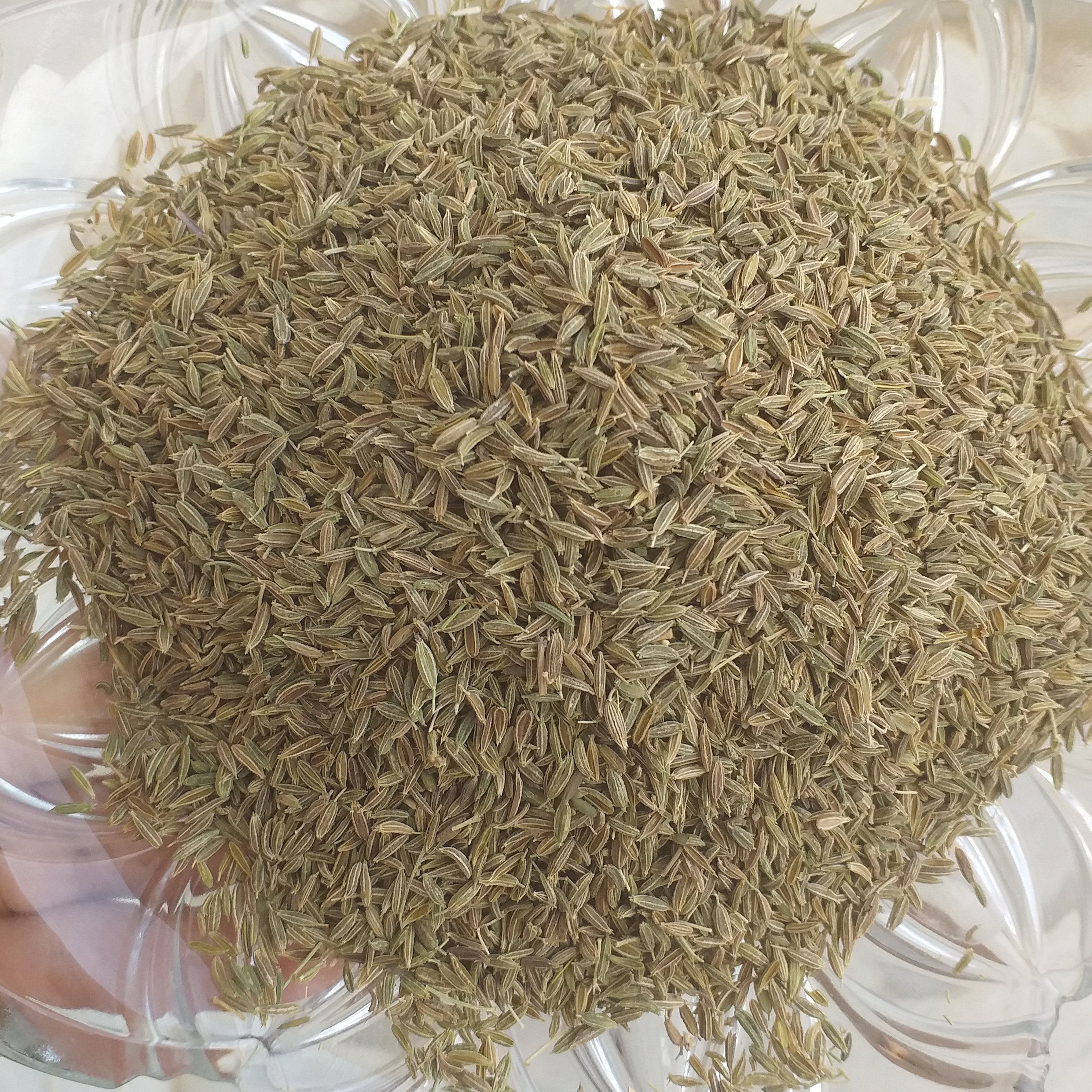 زیره سبز 100 گرمی.مستقیم از کشاورز.محصول  1402