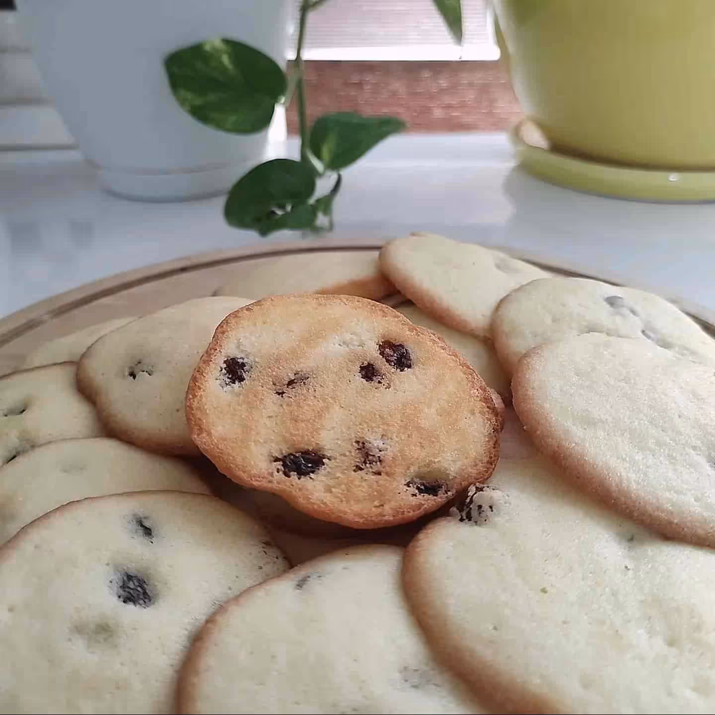 پودر شیرینی کشمشی خانگی(280 گرمی) بدون جوش شیرین و نگهدارنده 