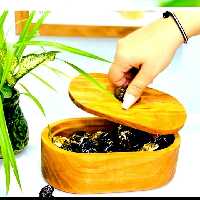 آجیلخوری وجاشکلاتی  چوب بلوط با درب چوبی طرح بلوط 