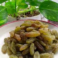 کشمش سبز از کاشمر ارسال میشه
